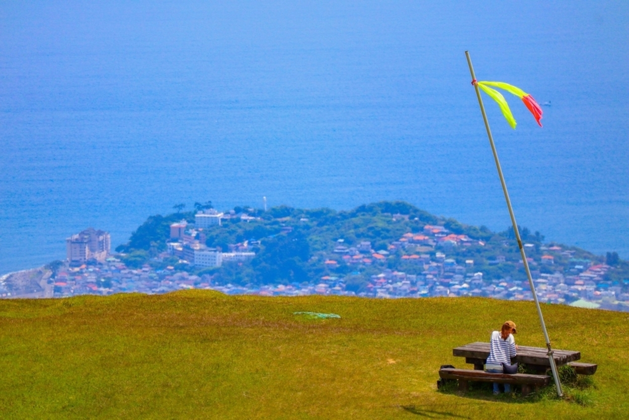 旬のワラビやゼンマイ採り放題！絶景パノラマ【伊豆・稲取】東京ドーム26個分の広大な高原で「絶景→山菜→絶景…無限ループ♪」
