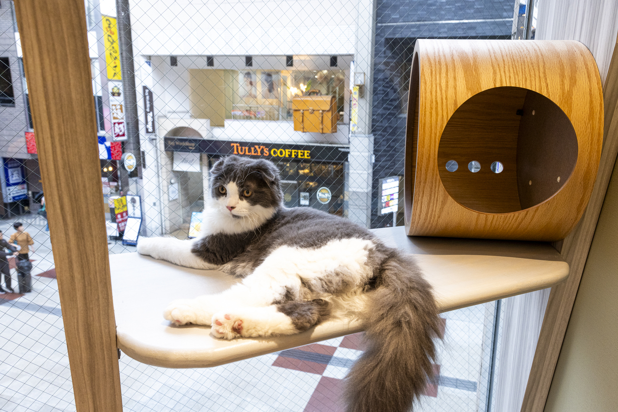 キャットラウンジ ノンノン 仙台中央店.jpg