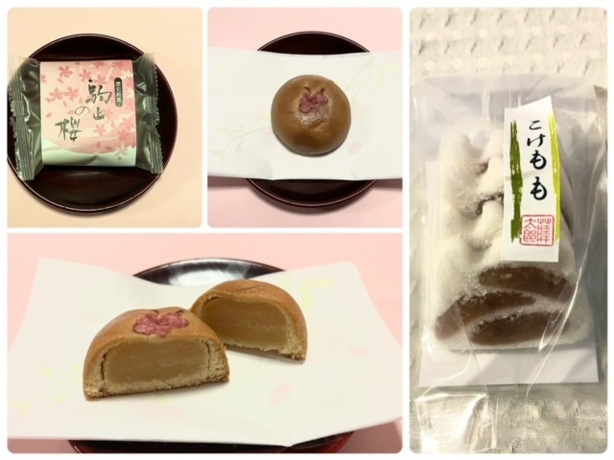 藤太郎 (5).jpeg