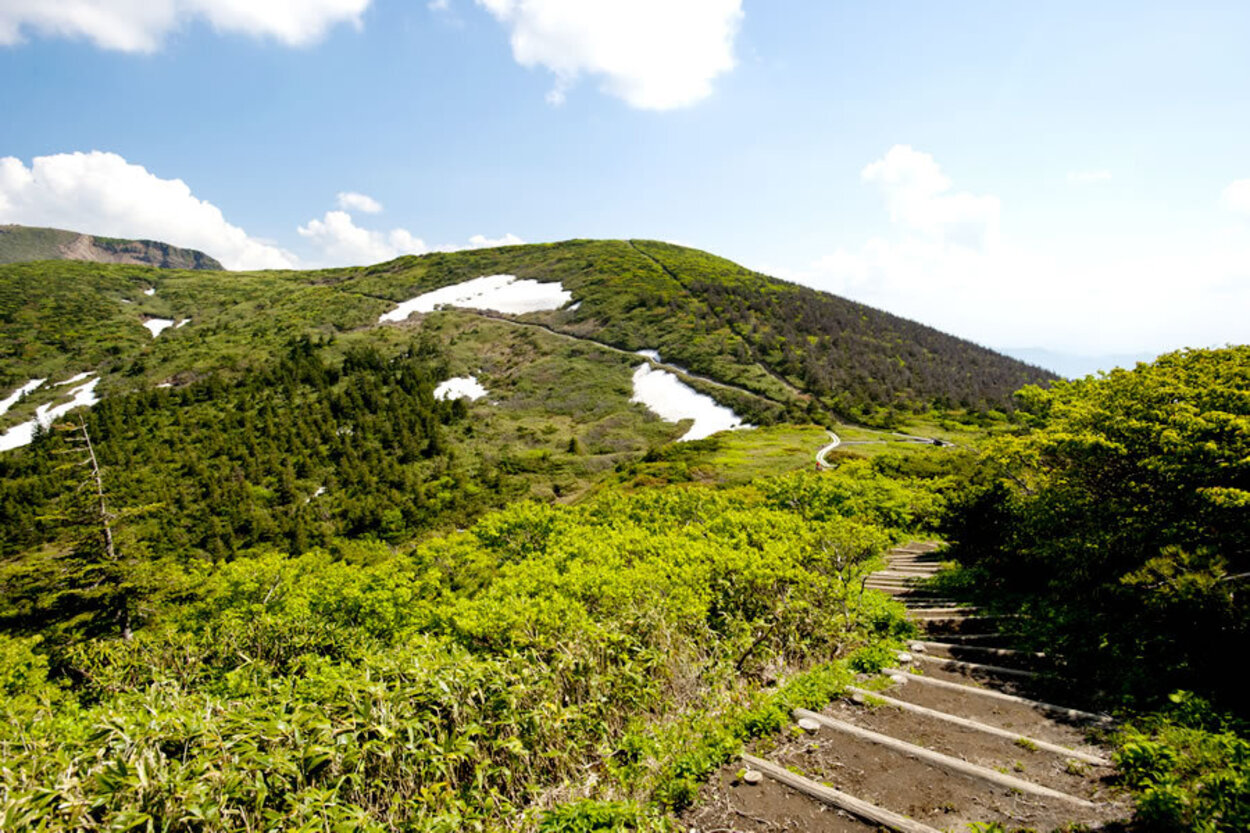 蔵王自然植物園・地蔵山周遊コース_蔵王ロープウェイ.jpg