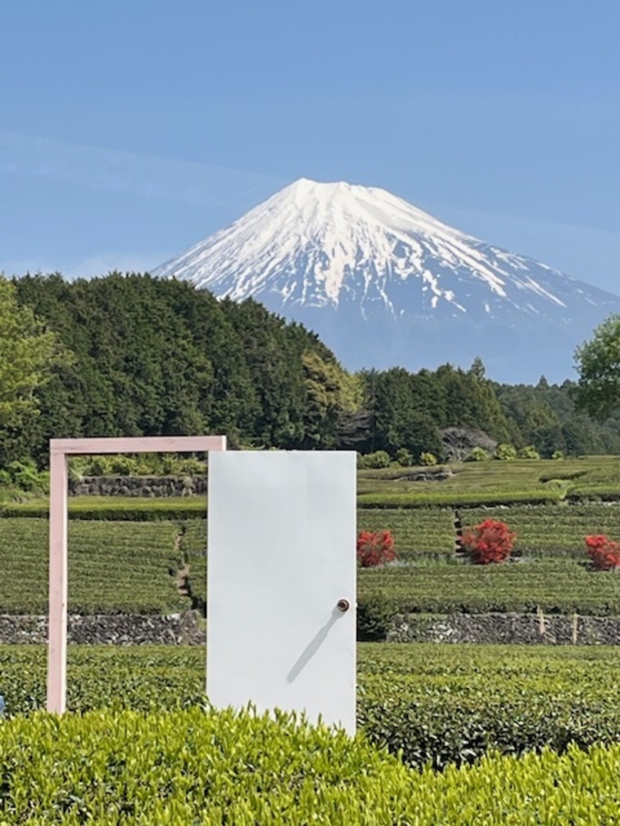 笹場 (5).jpeg