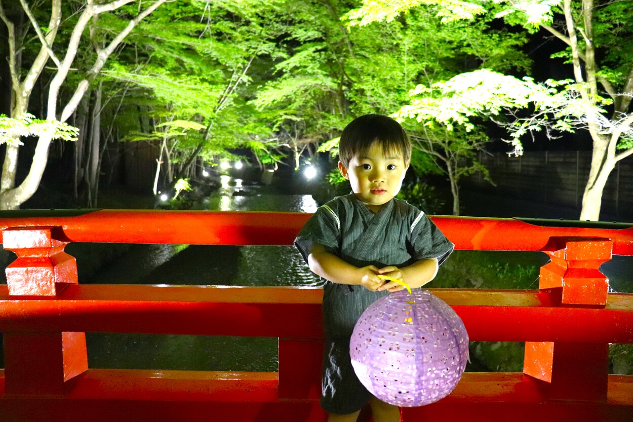 嘘でしょ、ここ小國神社！？初開催の"新緑ライトアップ"が幻想的すぎる！先着200組は【無料】で提灯も！一夜限りの神イベント♡
