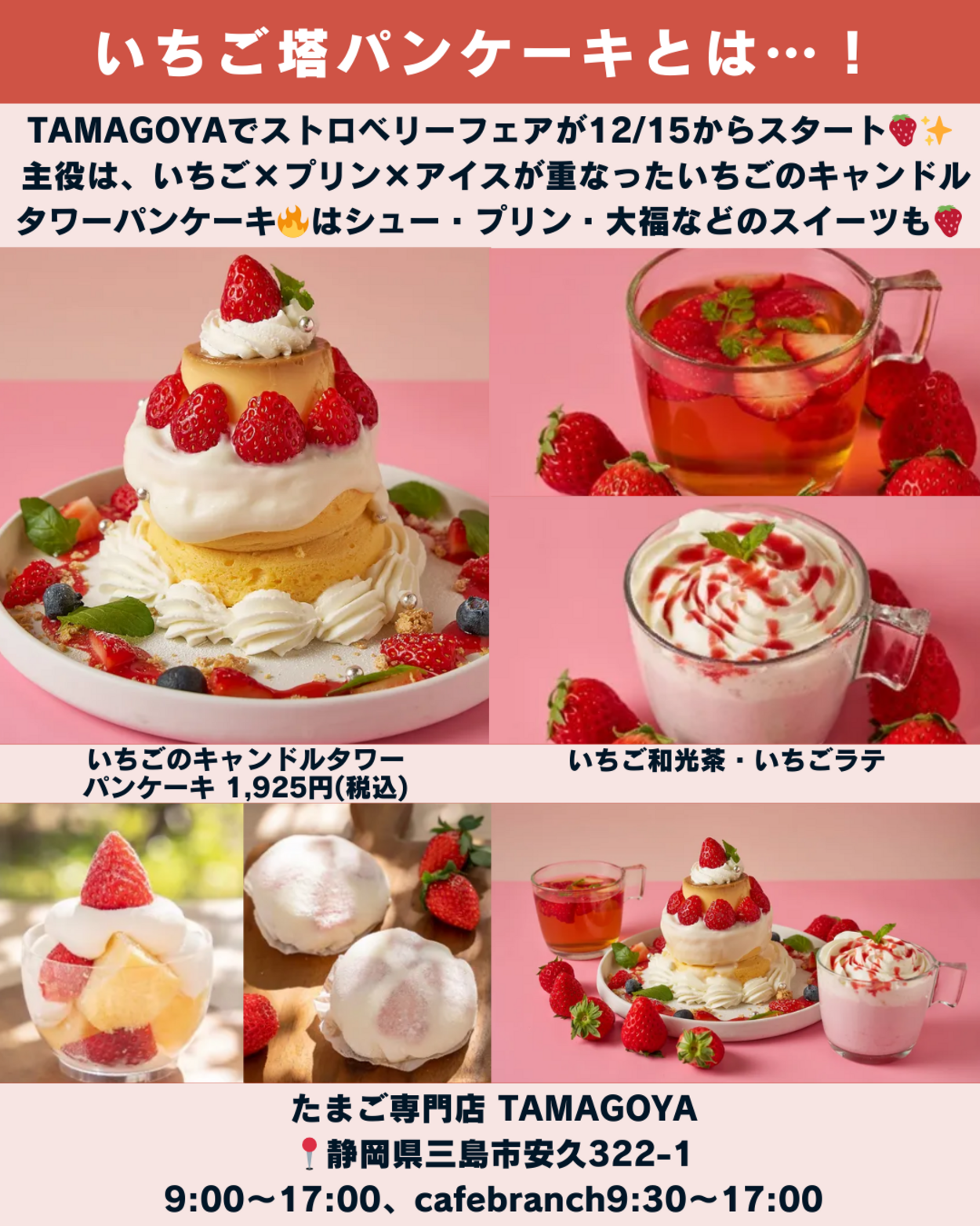 1220_静岡ニュース (6).png