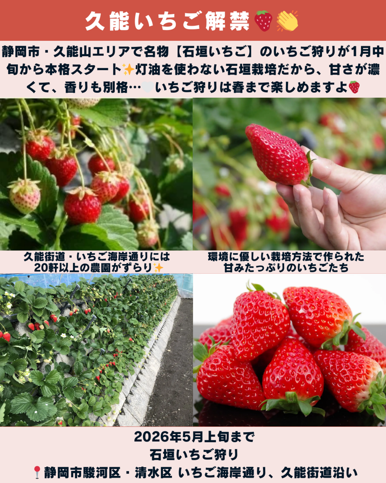 0117_静岡ニュース (7).png