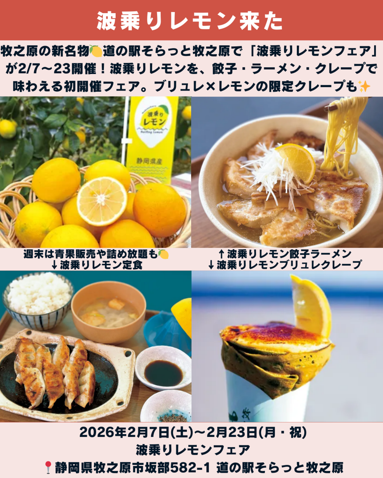 0207_静岡ニュース (7).png