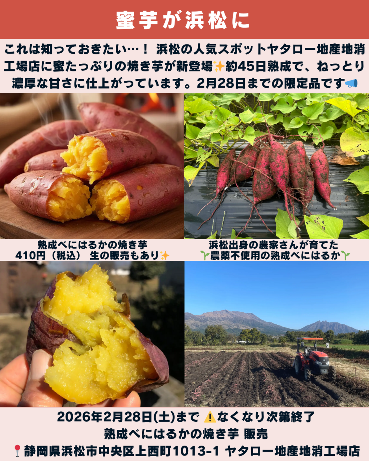 0117_静岡ニュース (4).png