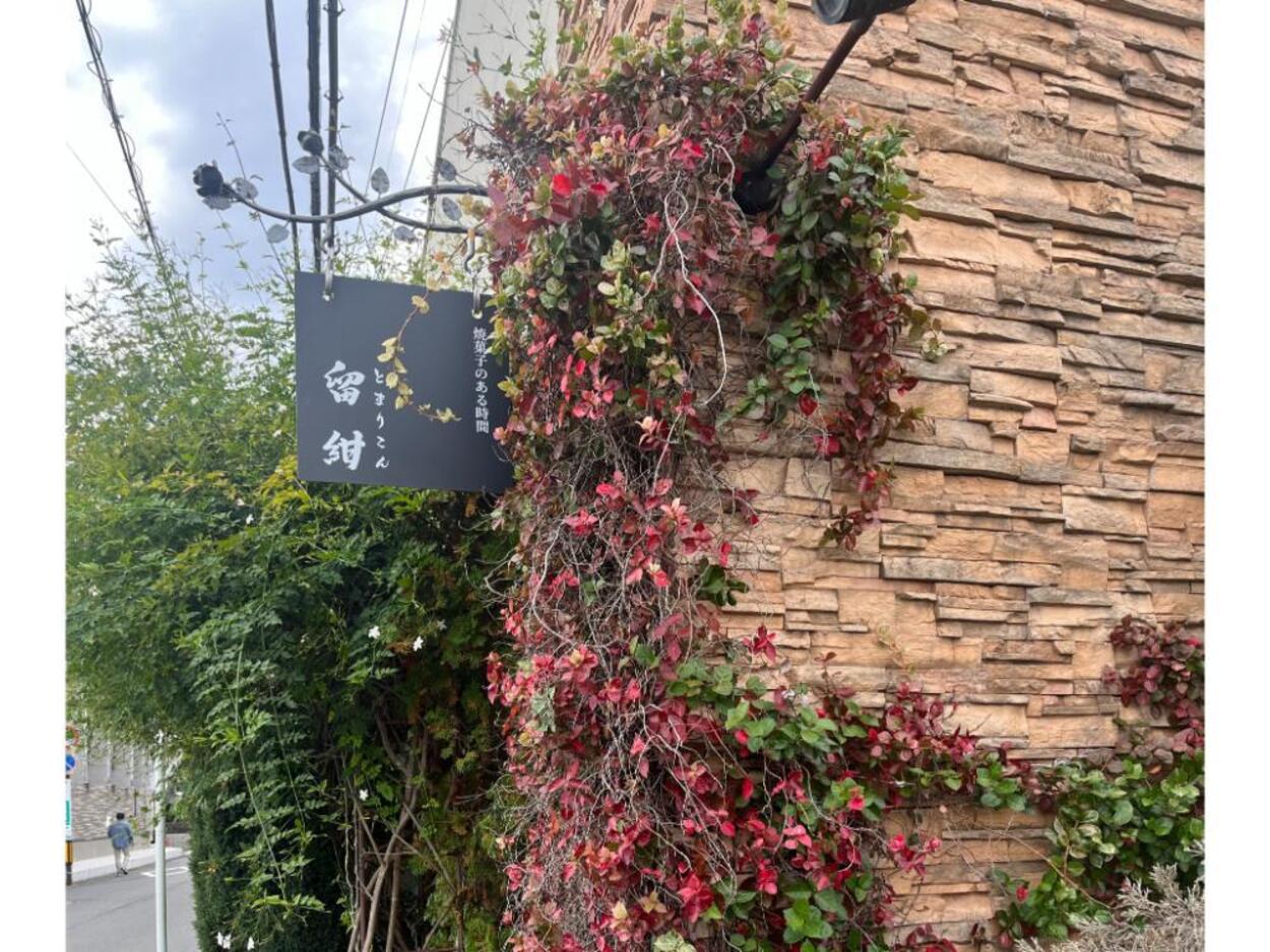 13時で売切れ続出（泣）【静岡】地元民が殺到「秒で消える幻スコーン」発見！650円「はしっこ」が神すぎて教えたくない