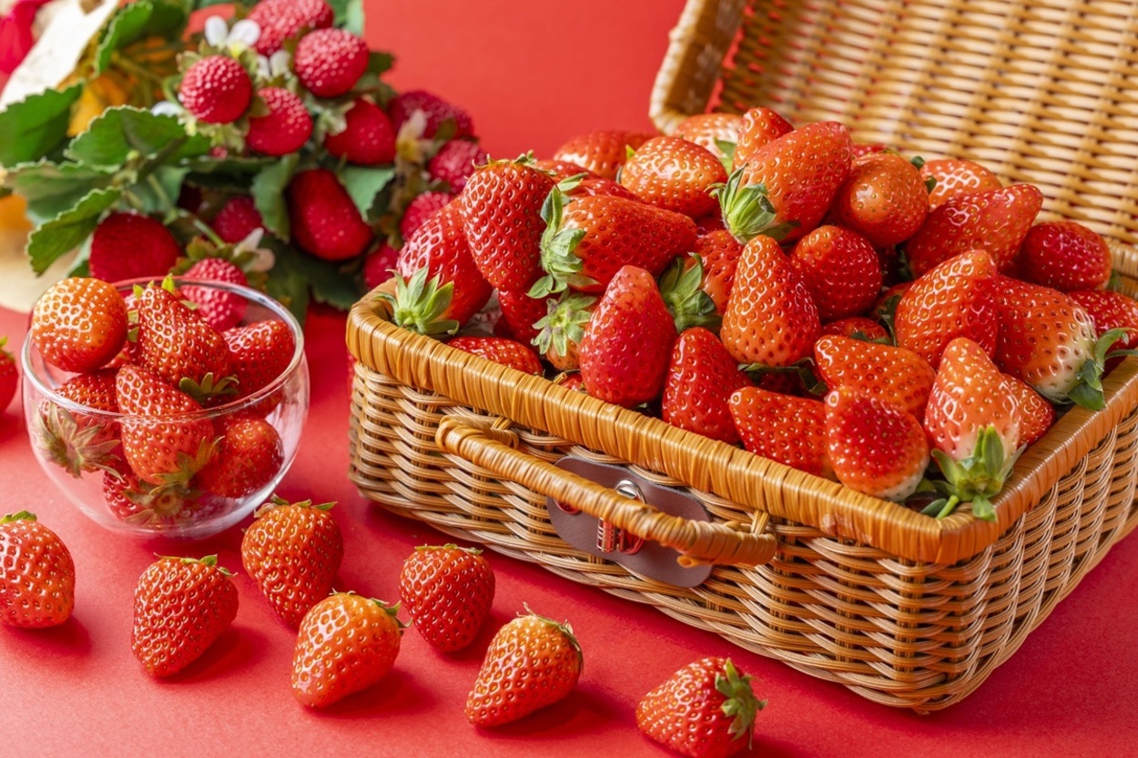 何度でも無限におかわり！静岡が誇るブランドいちご【食べ放題】「練乳＆チョコ付き」「いちご尽くし！品種食べ比べも♡」1か月だけ