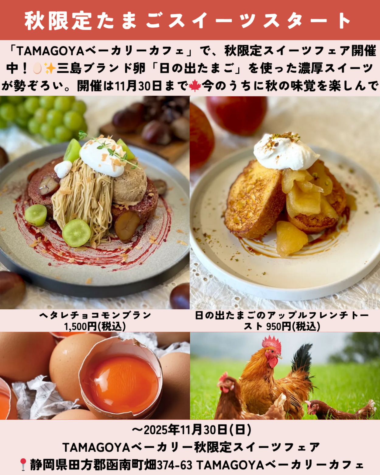 1108_静岡ニュース (2).png