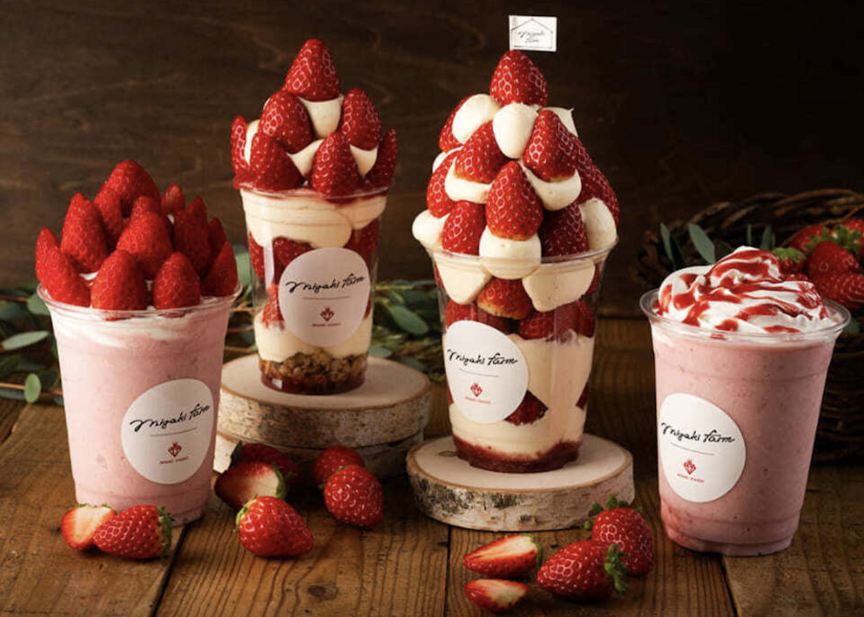 何度でもおかわり無限！チョコかけ放題【いちご狩り＆食べ放題】「500g超え！巨大パフェ」「SNS映え最強」仙台から40分でテンゴク♡鬼リピ確定