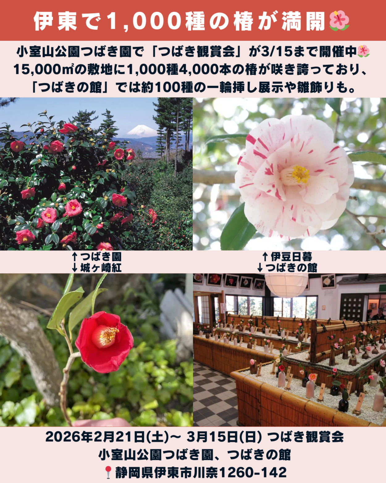 0307_静岡ニュース (8).png