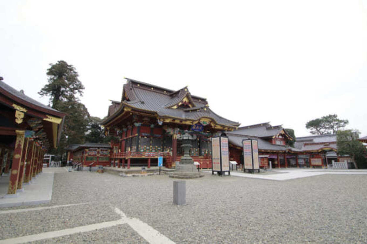 大杉神社 (1).jpg