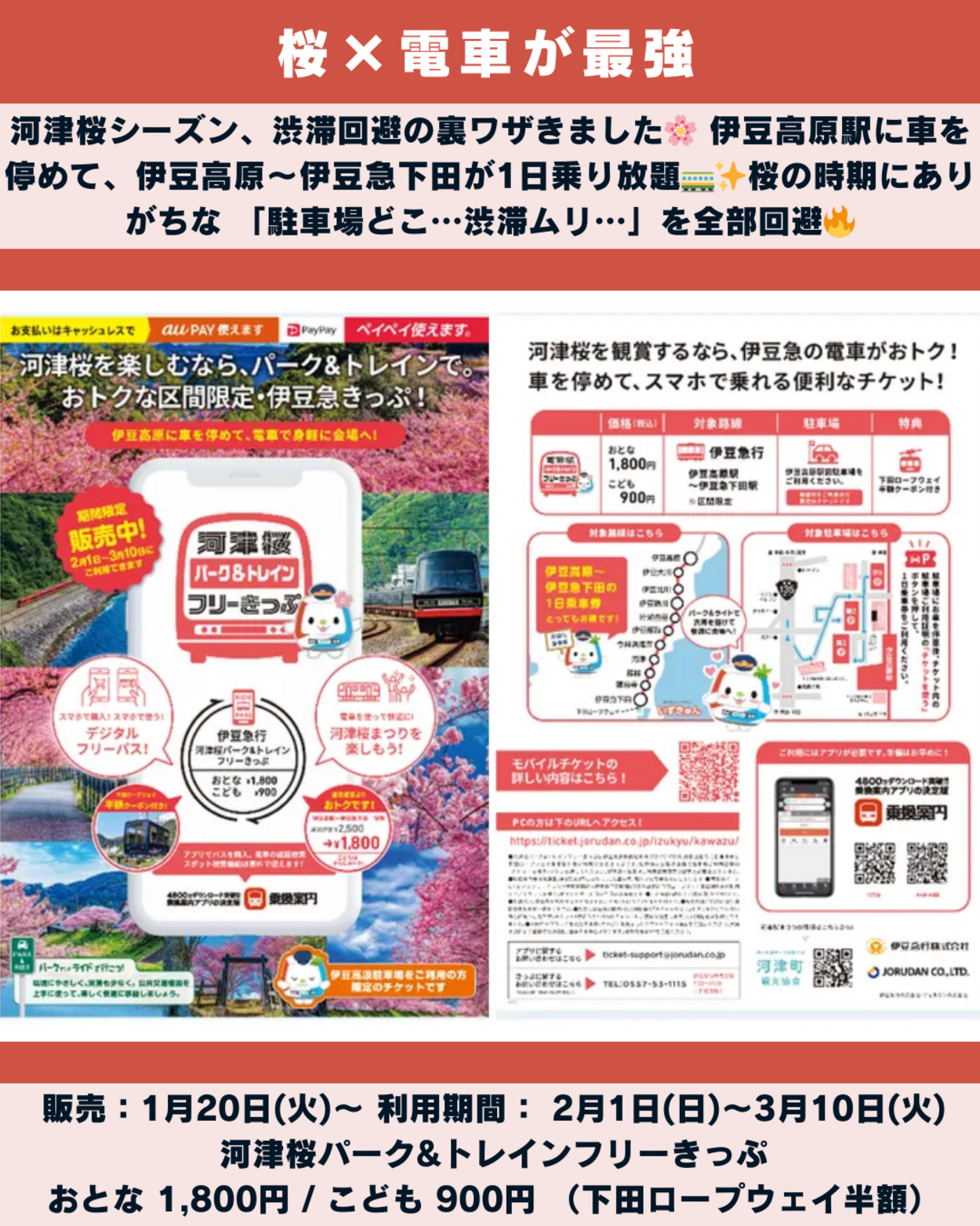 0124_静岡ニュース (9).png