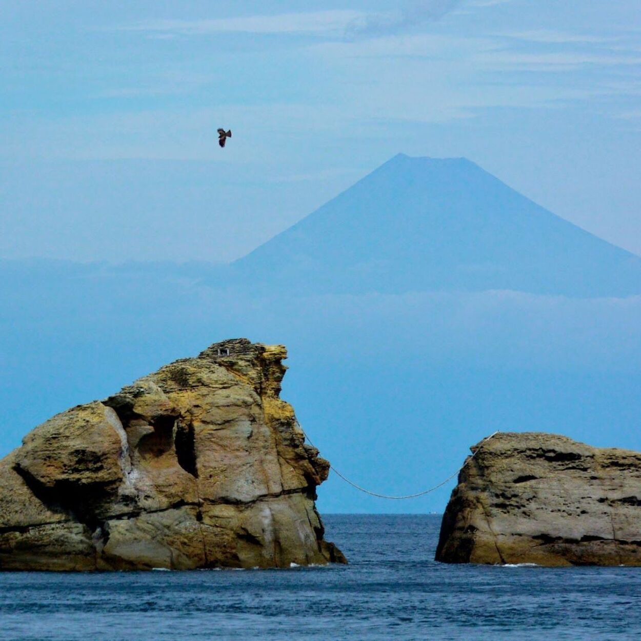 img_638854_9.jpg