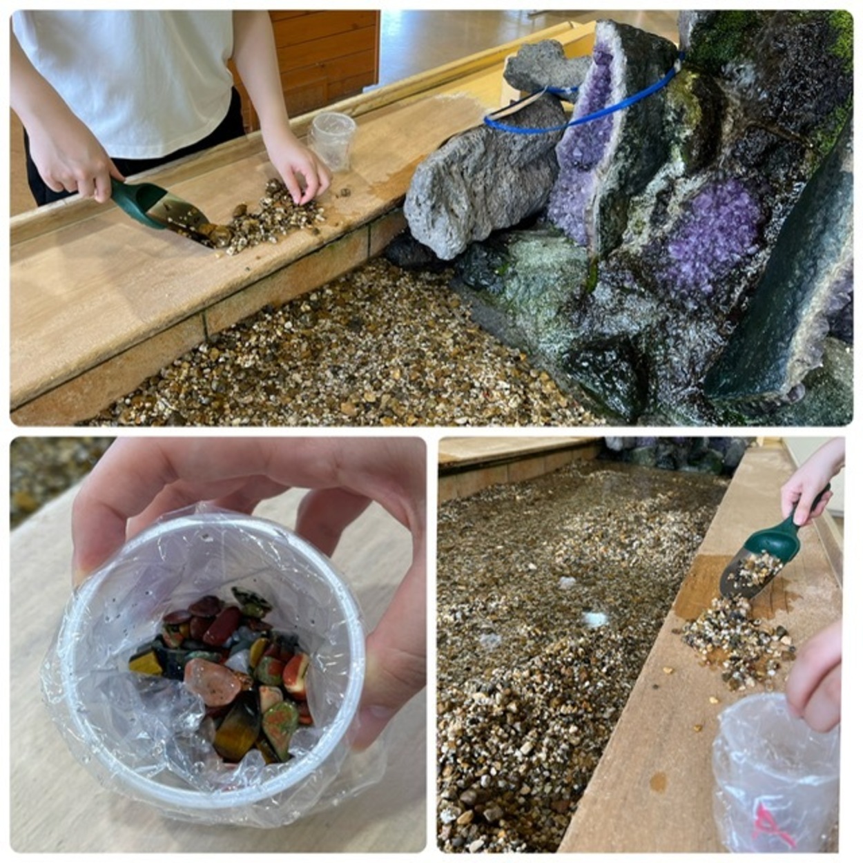 きせき (12).jpeg