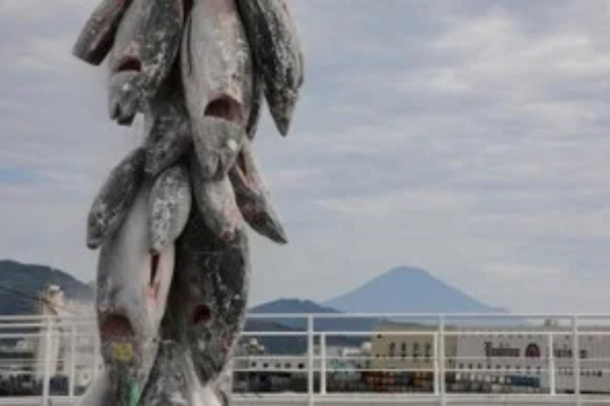 マグロがタダでもらえる！？【清水港マグロまつり】マイナス60℃の極寒体験に豪快ノコギリ裁断＆即売会も◎極上マグロ料理を食べ尽くせ～♪