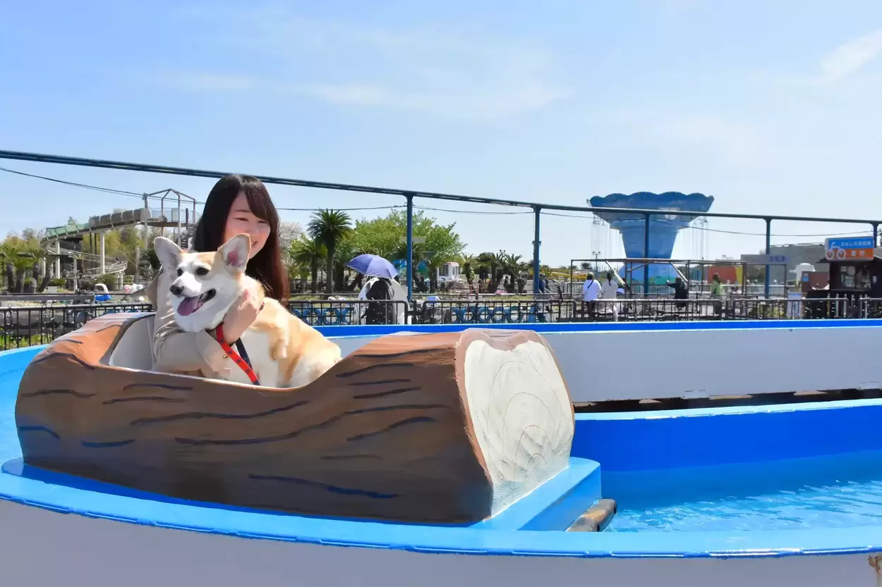 うちのワンコ、大歓喜！愛犬入園無料【伊豆ぐらんぱる公園】ゴーカートもイルミも愛犬と一緒♡フォトコンテストで豪華賞品も狙えるワン♪