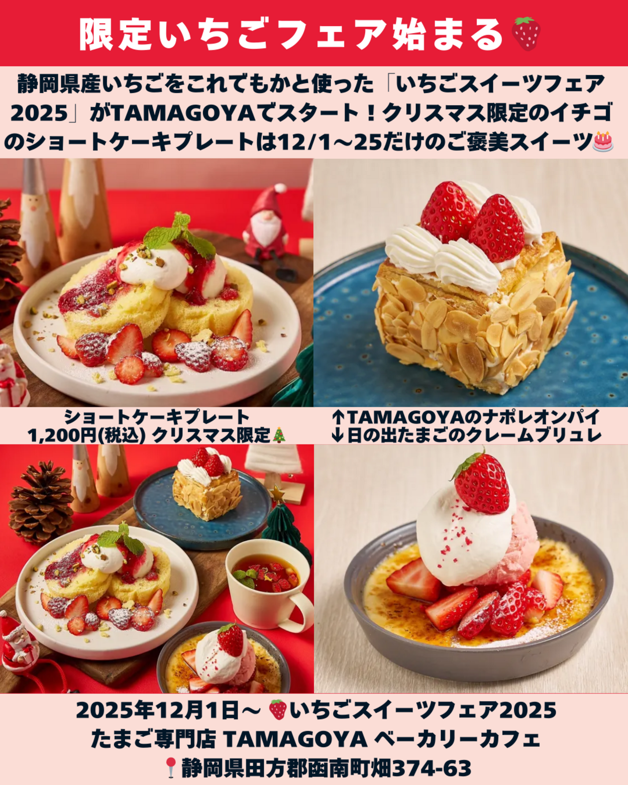 1206_静岡ニュース (4).png