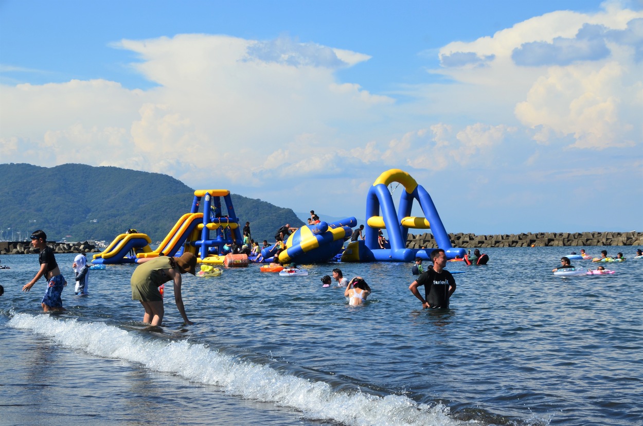 img_610472_3.jpg