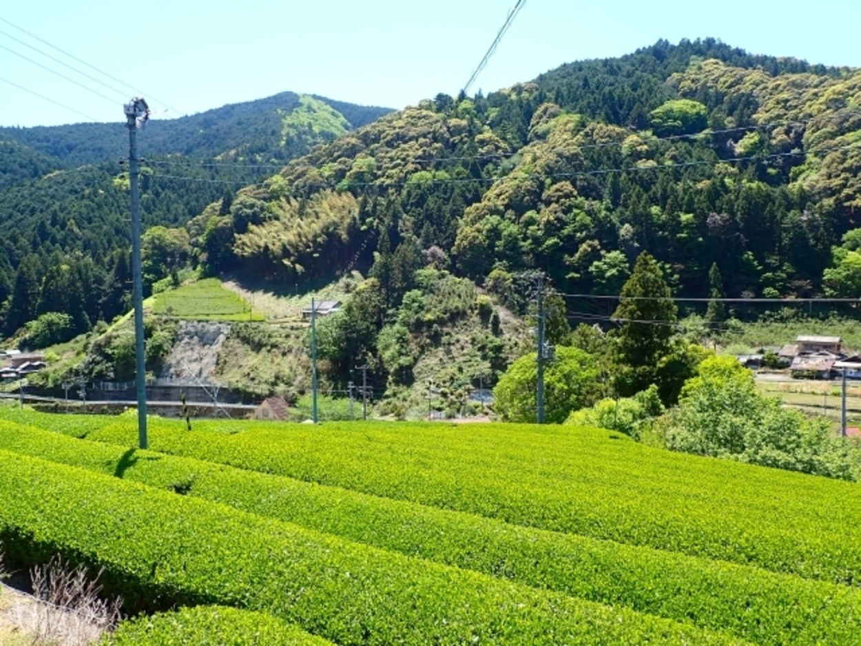 オクシズの風景.jpg