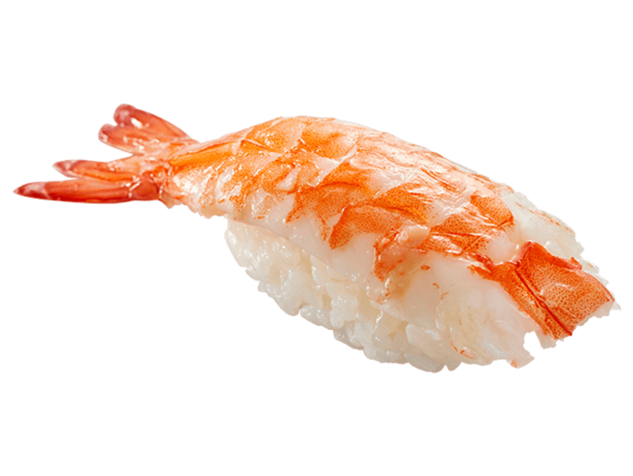 sub17.png