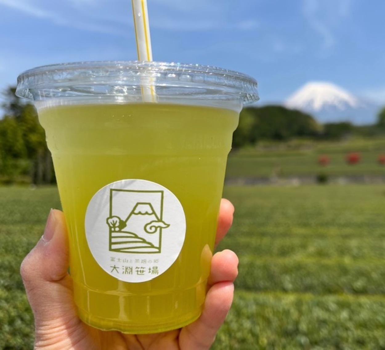 笹場 (3).jpeg