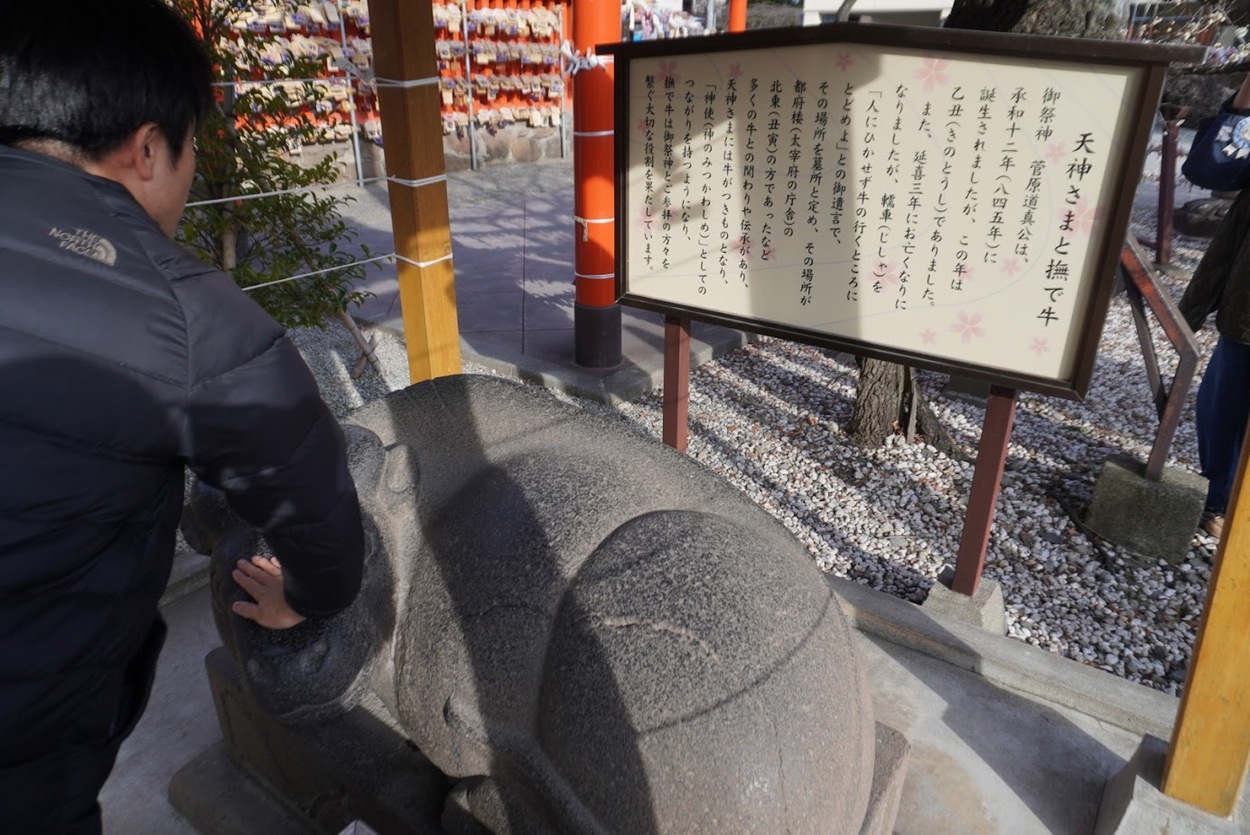 ２月榴ヶ岡天満宮なで牛.JPG