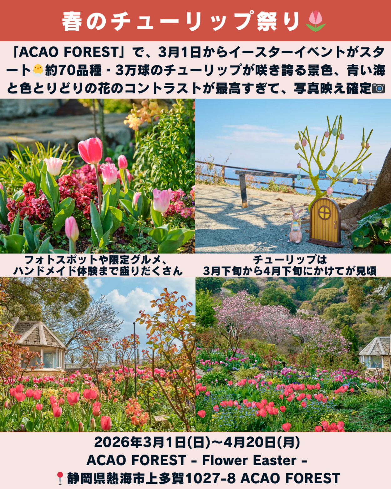 0228_静岡ニュース (6).png