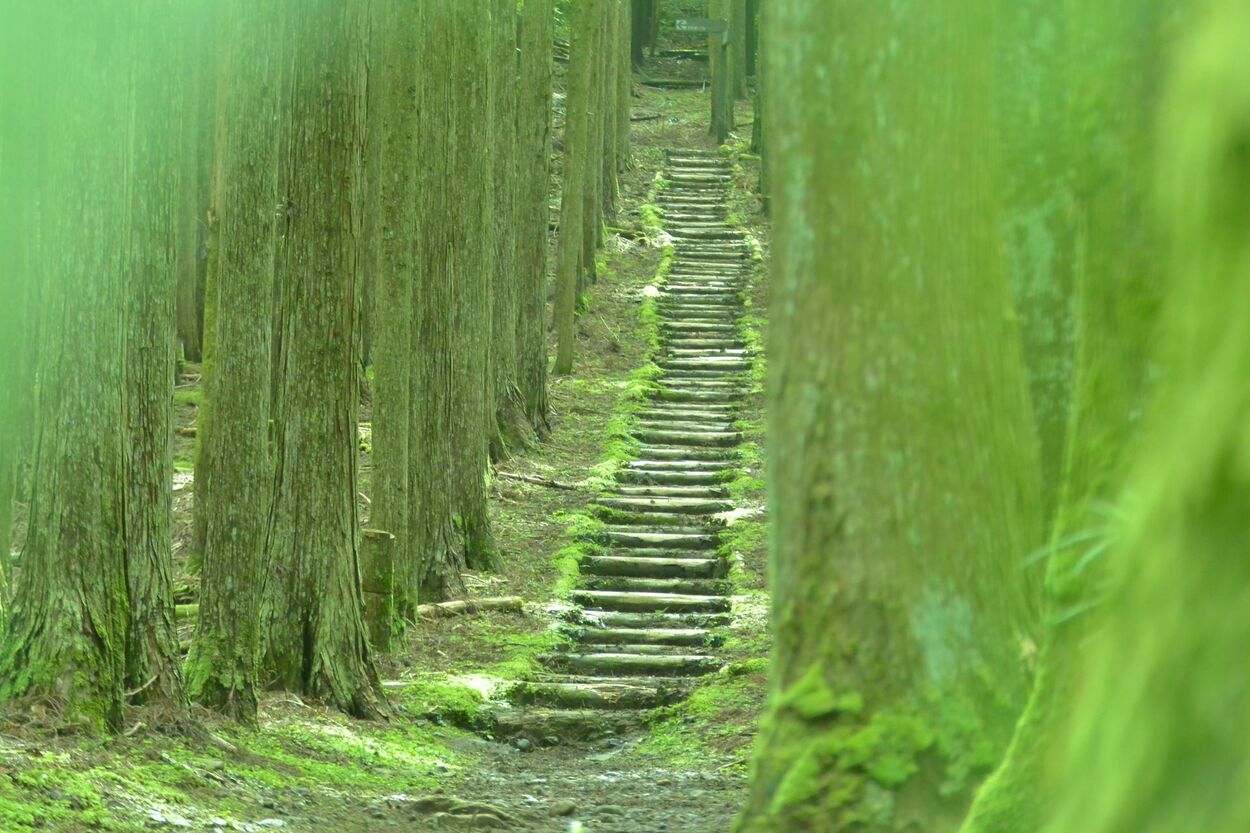 伊豆の秘境って知ってる?【松崎町】「知る人ぞ知る絶景」「わざわざ行って大正解」“秘境と絶景”古道ウォーク