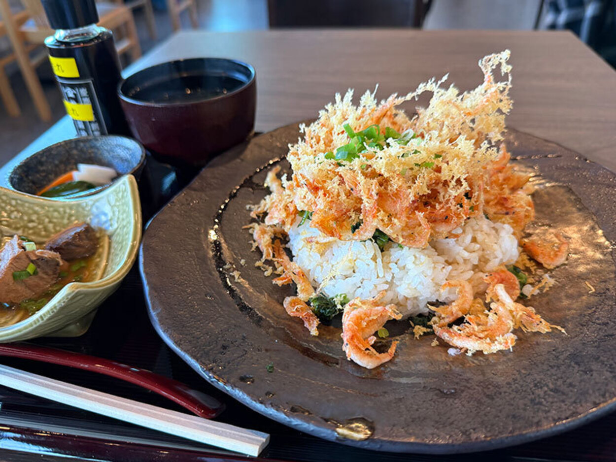 伝説の名店が復活!?漁の日限定「幻のアジ」に出会えたら奇跡!由比漁港に爆誕「絶品!ザックザク桜えび」「約2倍?タワー丼も必見」