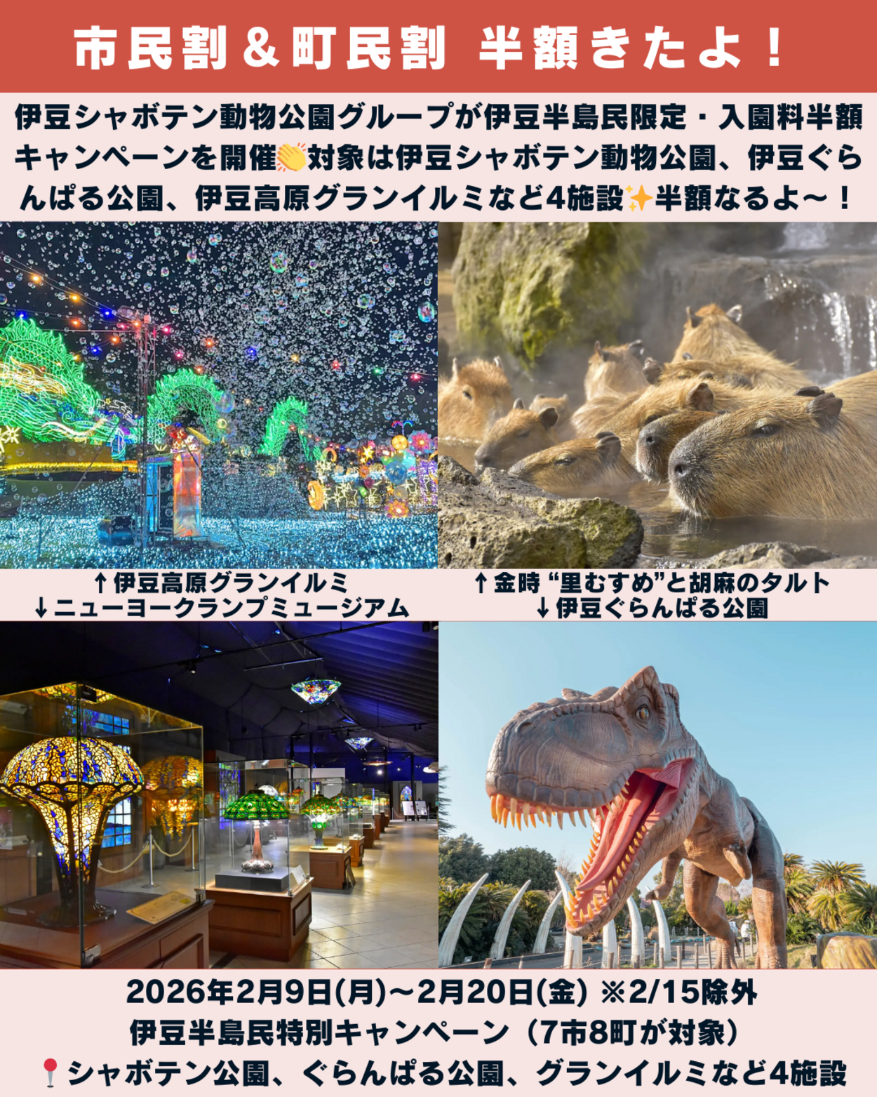 0207_静岡ニュース (5).png