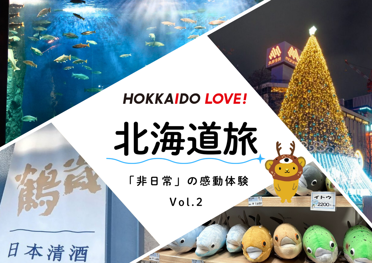 【冬の北海道旅Vol.2】日本酒・イルミ・水中観察！札幌＆千歳で出逢う「非日常」の感動体験