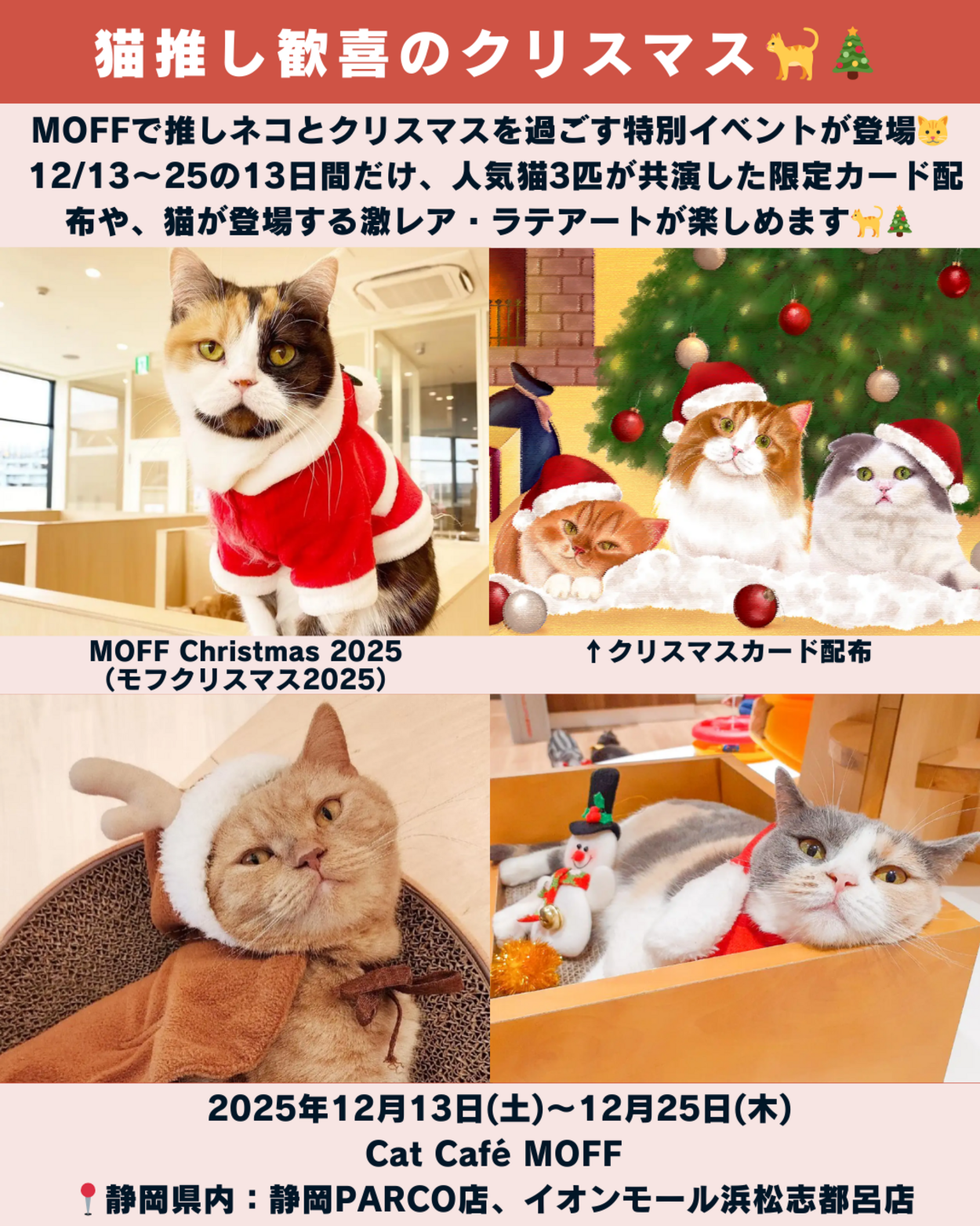 1214_静岡ニュース (9).png