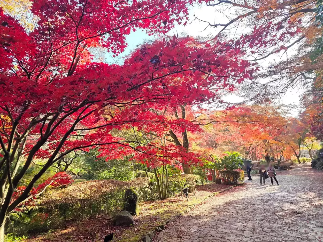 169670-31-336fc506bf2e57292ee3344be329bb42-1280x960.jpg