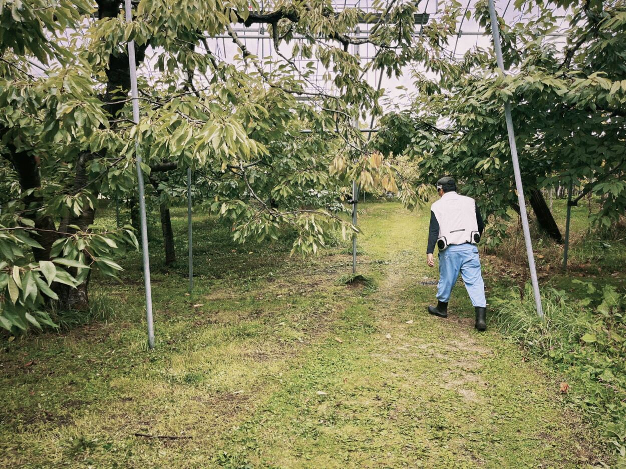 20_妹尾観光農園_果樹園を歩く園主_1.jpg