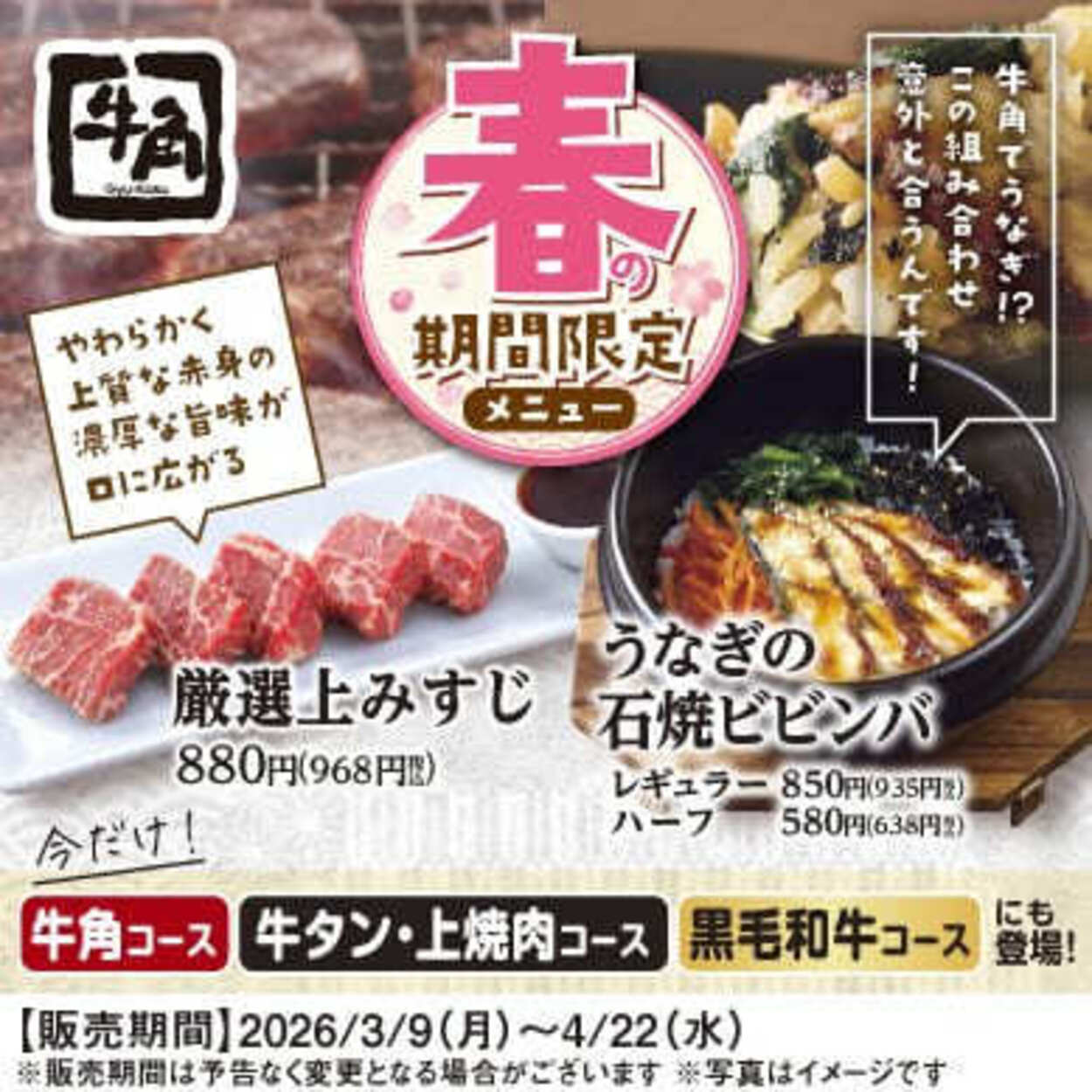 厳選上ミスジ (1).jpg