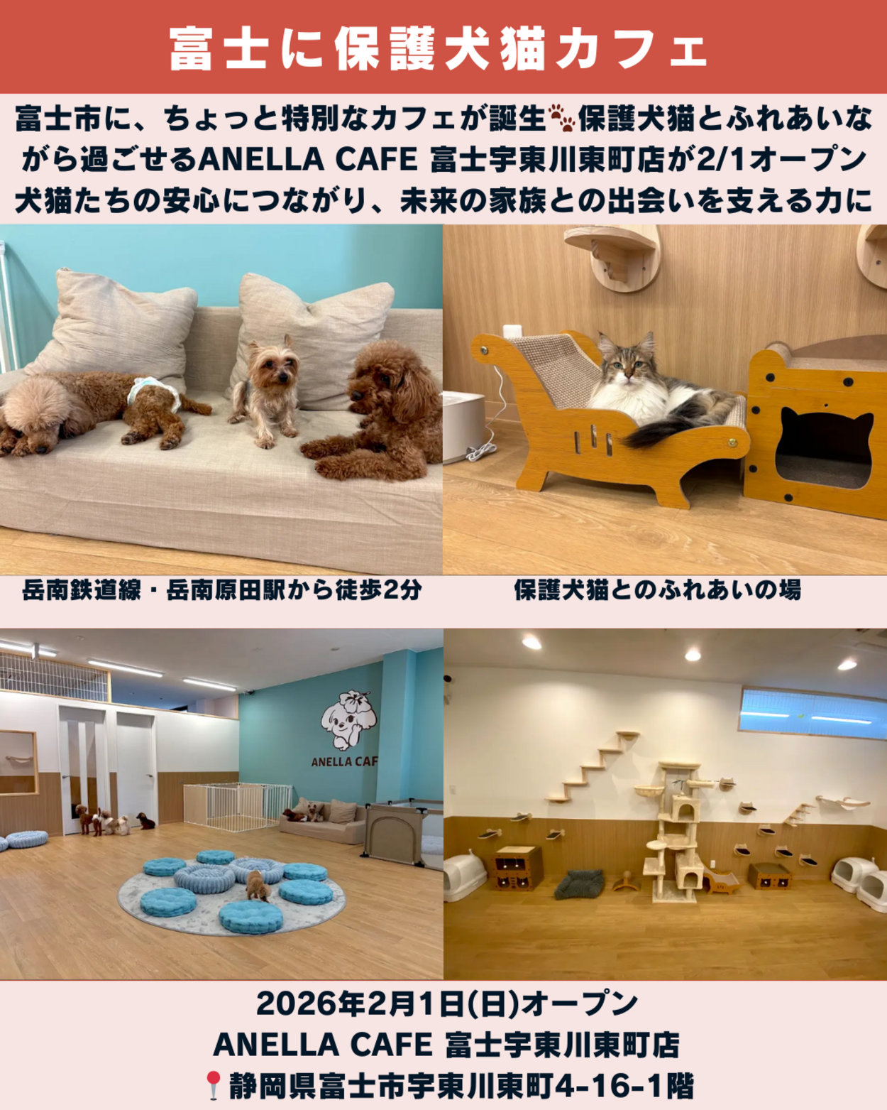 0207_静岡ニュース (9).png
