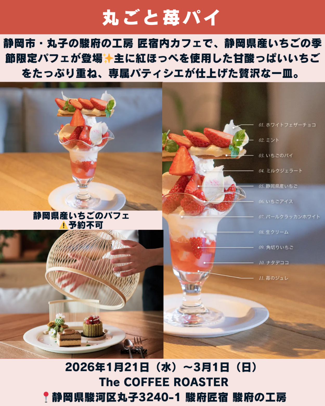 0124_静岡ニュース (5).png