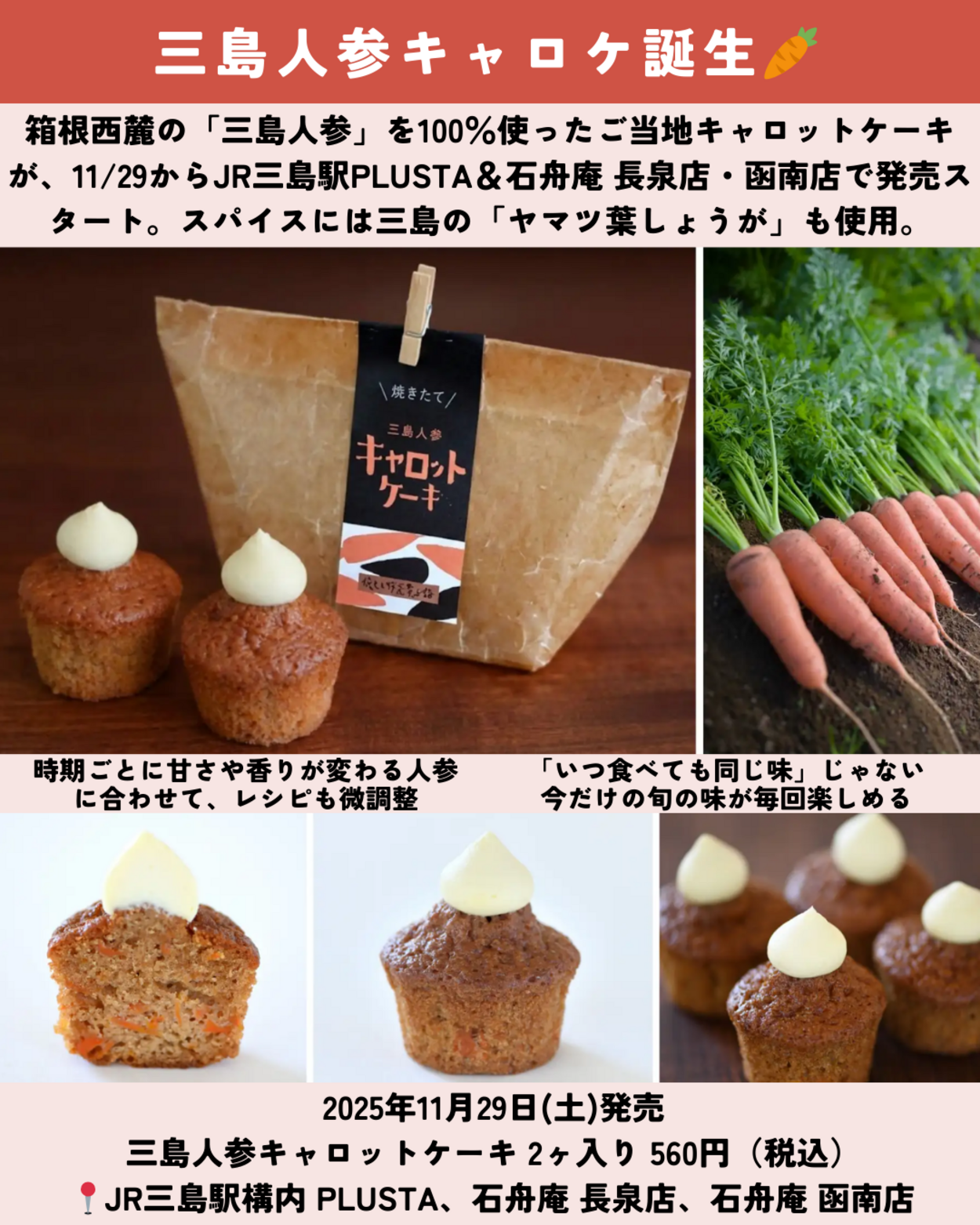 1129_静岡ニュース (7).png