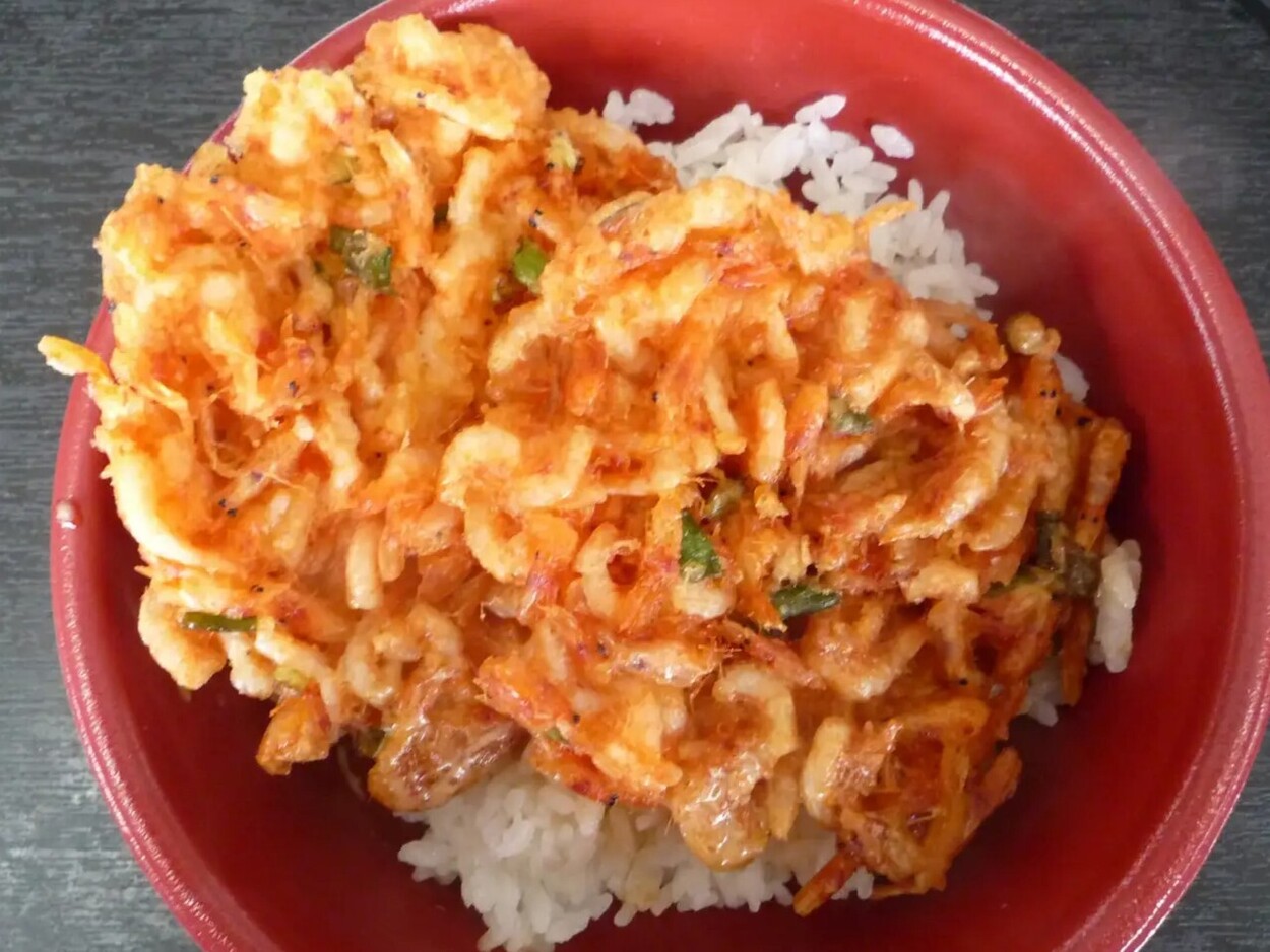 日本で唯一！【桜えび】秋漁解禁「行列しても食べるべし！」今だけ“とれピチ生”に“サクふわ”かき揚げ♪静岡の秋の味覚は食べなきゃ損！