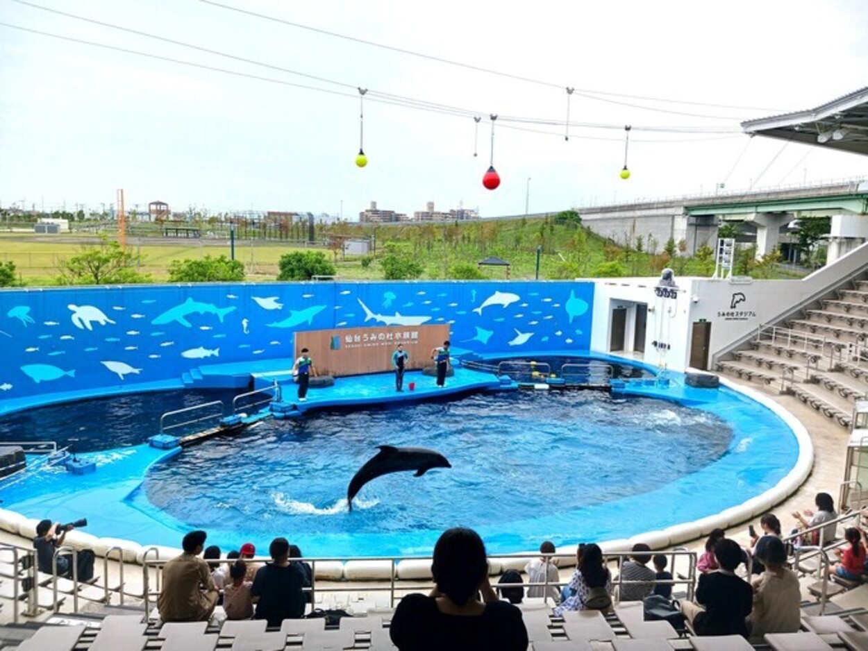 仙台うみの杜水族館.jpg
