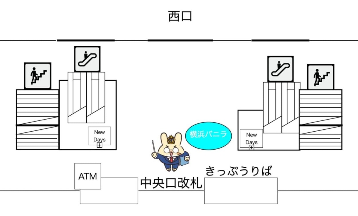 横浜バニラ (2).jpg