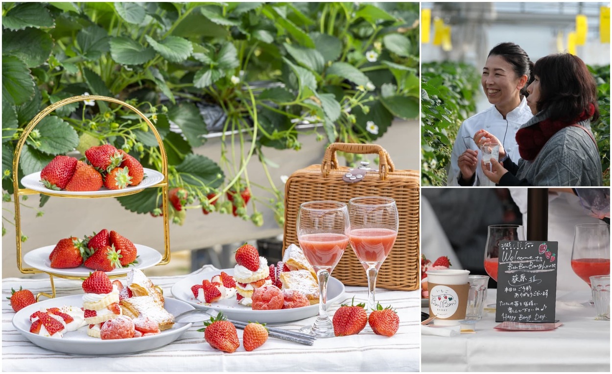 各回3組だけって争奪戦の予感（泣）【いちご専門店】プロが目の前で仕上げる「紅ほっぺ」爆盛りスイーツが神！静岡・伊豆で"夢のいちご狩り"解禁