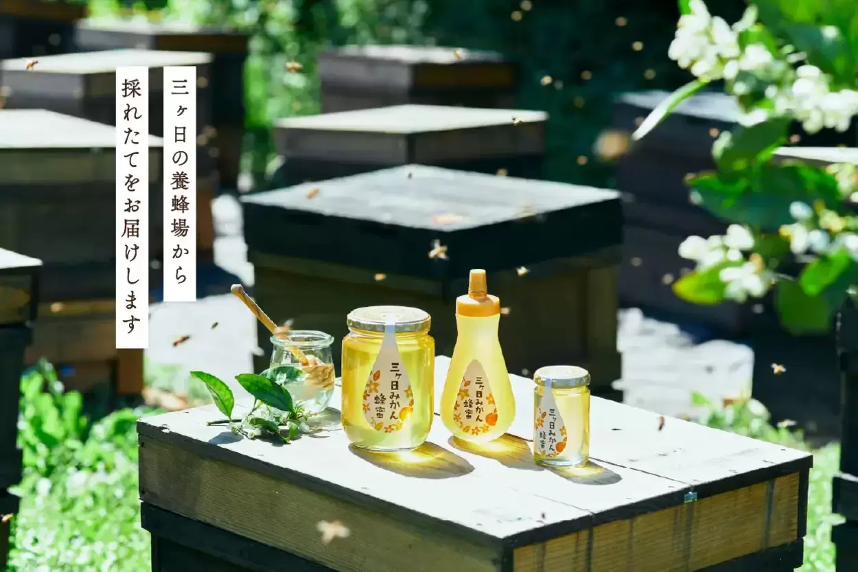 たった10日間だけ！採れたて&激レア  【三ヶ日みかん蜂蜜】養蜂家さんも感動する“新蜜”ついに解禁！今すぐ絶対買い