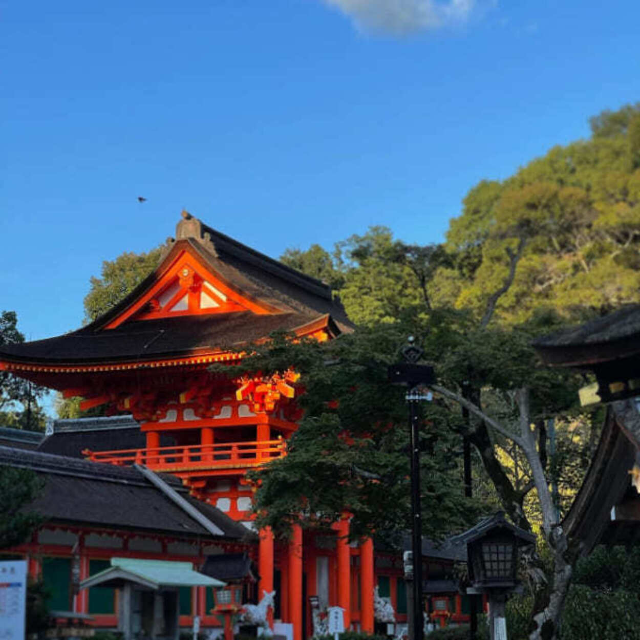 賀茂別雷神社 (1).jpg