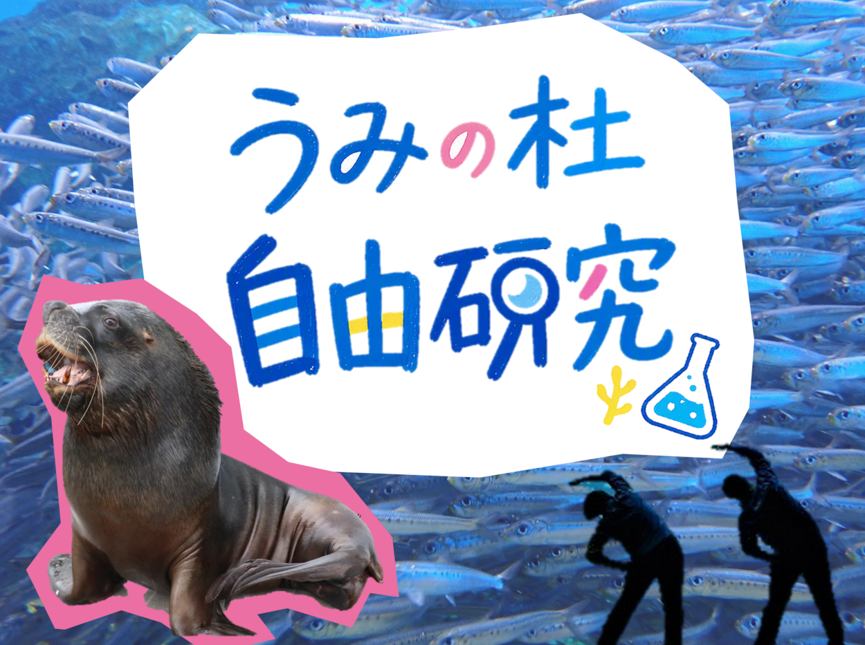 夏休みの自由研究はコレで決まり！「なぜイルカはジャンプするの？」など飼育員が海の疑問に本気回答【仙台うみの杜水族館】