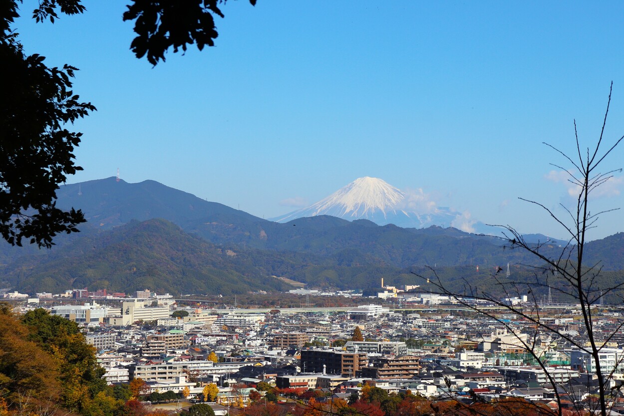 IMG_5627.JPG