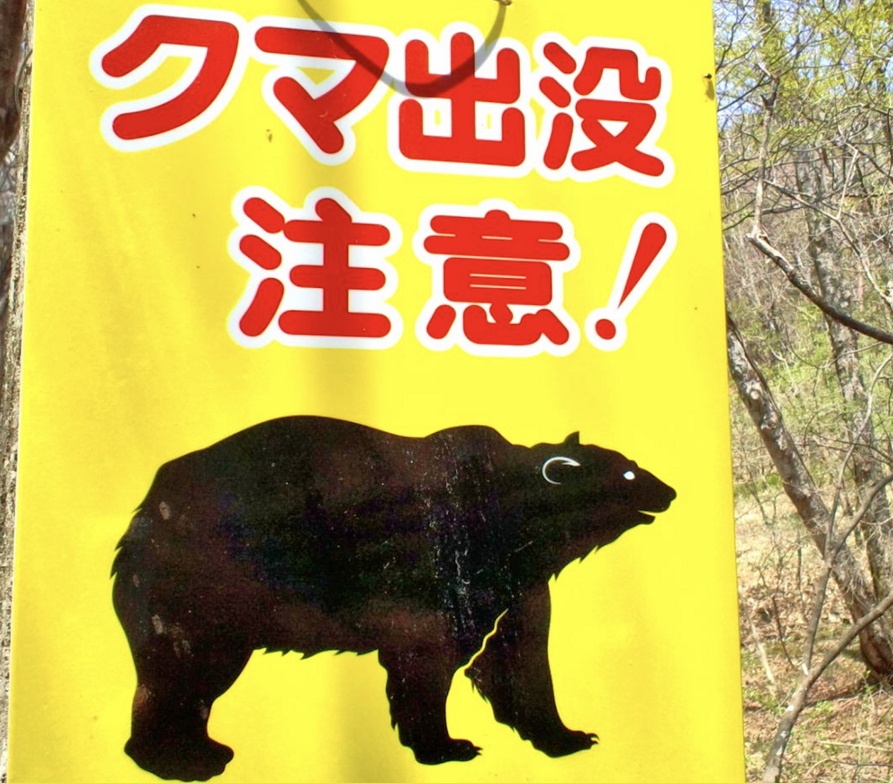 絶対やっちゃダメ！3大NG行動に注意【クマ対策】今日からできる「避け方・安全対策」「遭遇したら」仙台2児の母が"今必要な情報"を厳選
