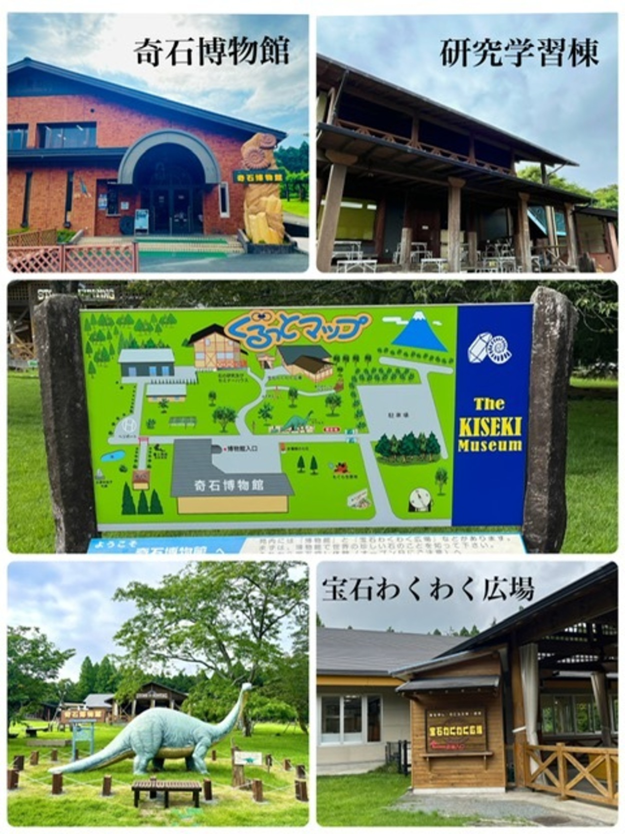奇石博物館写真 (2).jpeg
