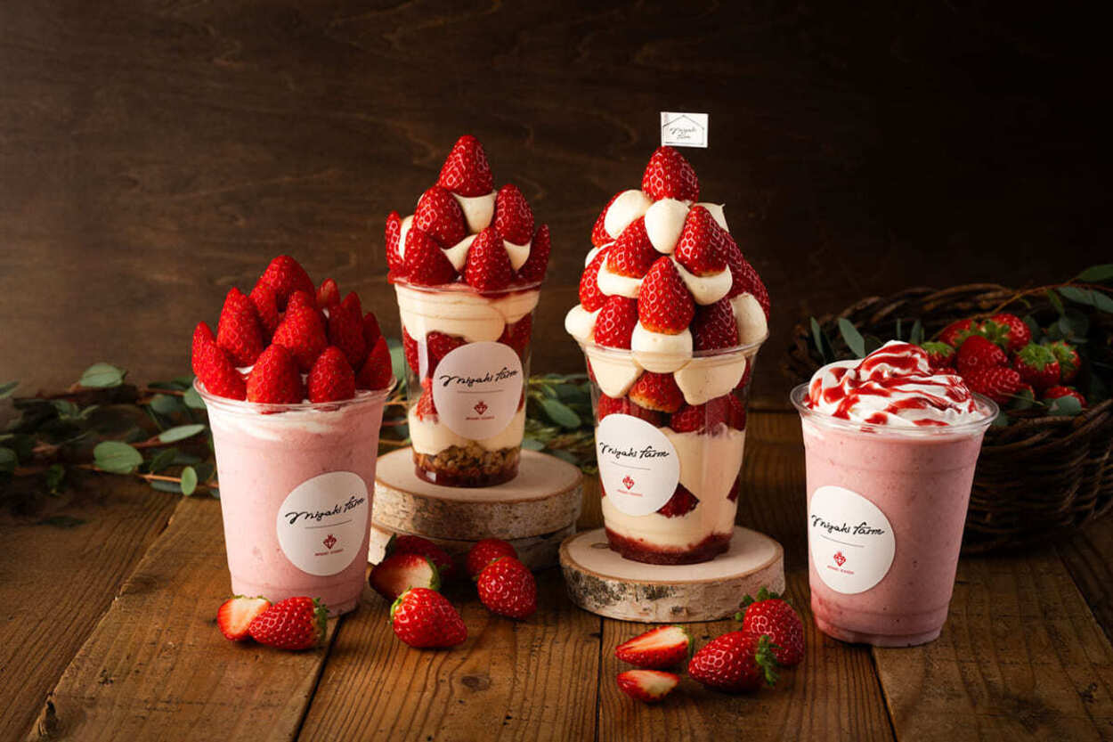 何度でもおかわり無限！チョコかけ放題【いちご狩り＆食べ放題】「500g